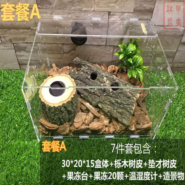 贝拉缘活体独角仙成虫甲虫锹形虫扁锹甲亚克力饲养盒箱精品套餐 套餐a