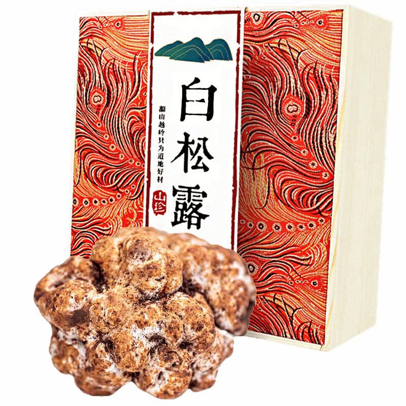 星云湖 云南香格里拉白松露 礼盒装高黎贡山黑松露野生菌鲜菌菇山珍美味 新鲜白松露 精选 直径3-4cm  500g