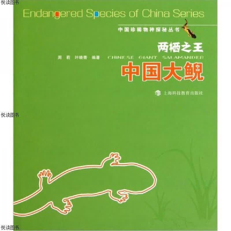 两栖之王：中国大鲵