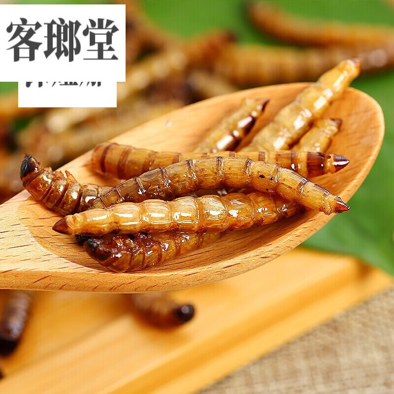 虎钢馋100g油炸大麦虫即食黄金虫办公小零食新鲜现做大麦虫昆虫小吃