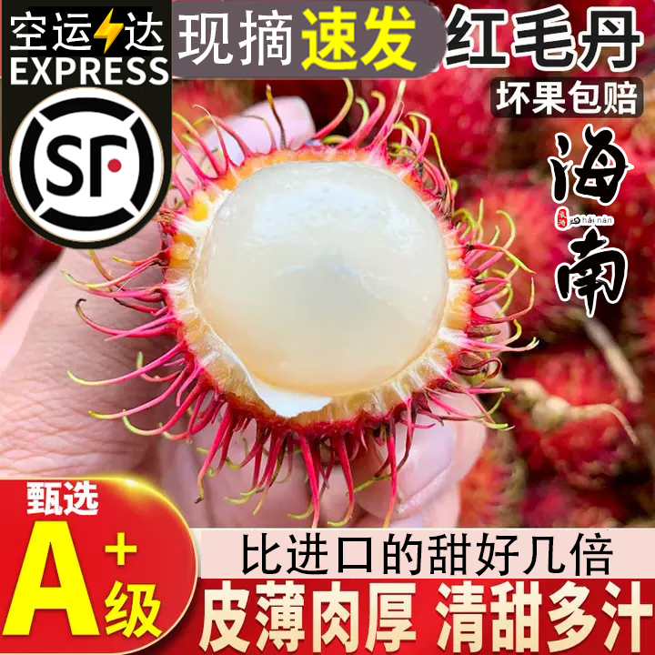 骑猴赶马海南红毛丹新鲜水果【顺丰到家】水果红毛丹礼盒海南现摘毛荔枝果 5斤老树果 精选SSS级果使用感如何?