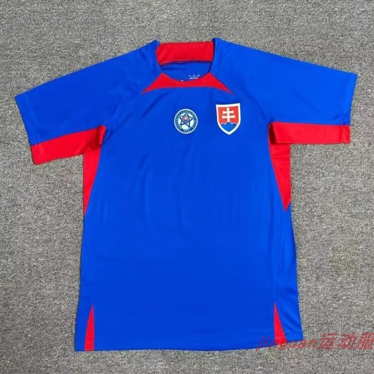 eoenkky2024欧洲杯国家队斯洛伐克足球服主客场比赛球衣男子球迷泰版