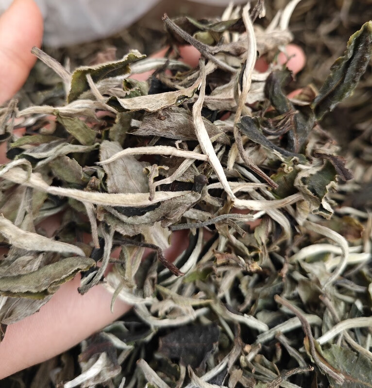 颜堂一斤 一芽一叶月光白白牡丹云南白茶花果香散茶月光美人白毫银针