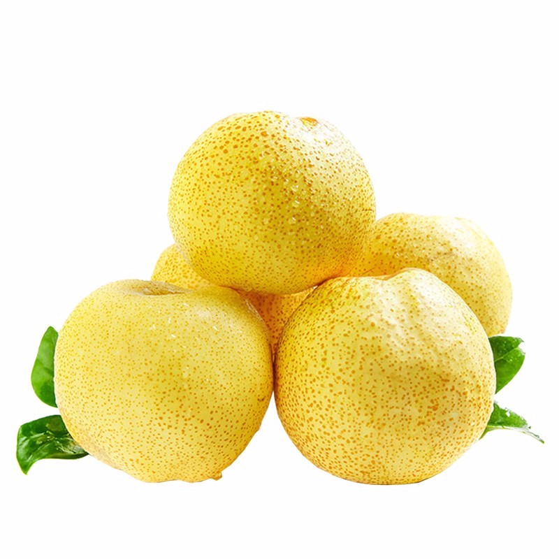 砀山梨子新鲜酥梨 5斤/10斤水果当季应季现摘整箱安徽汤山脆梨 2斤装