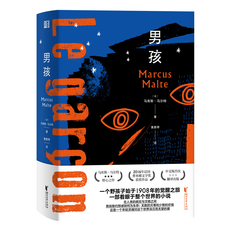 男孩(傅雷翻译出版奖获奖作品,费米娜文学奖获奖作品)