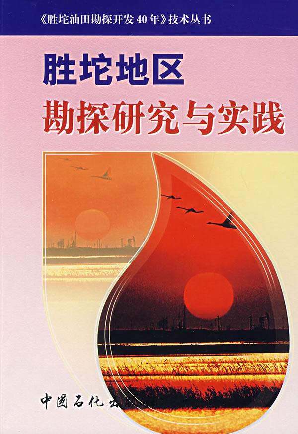 胜坨地区勘探研究与实践【正版图书】