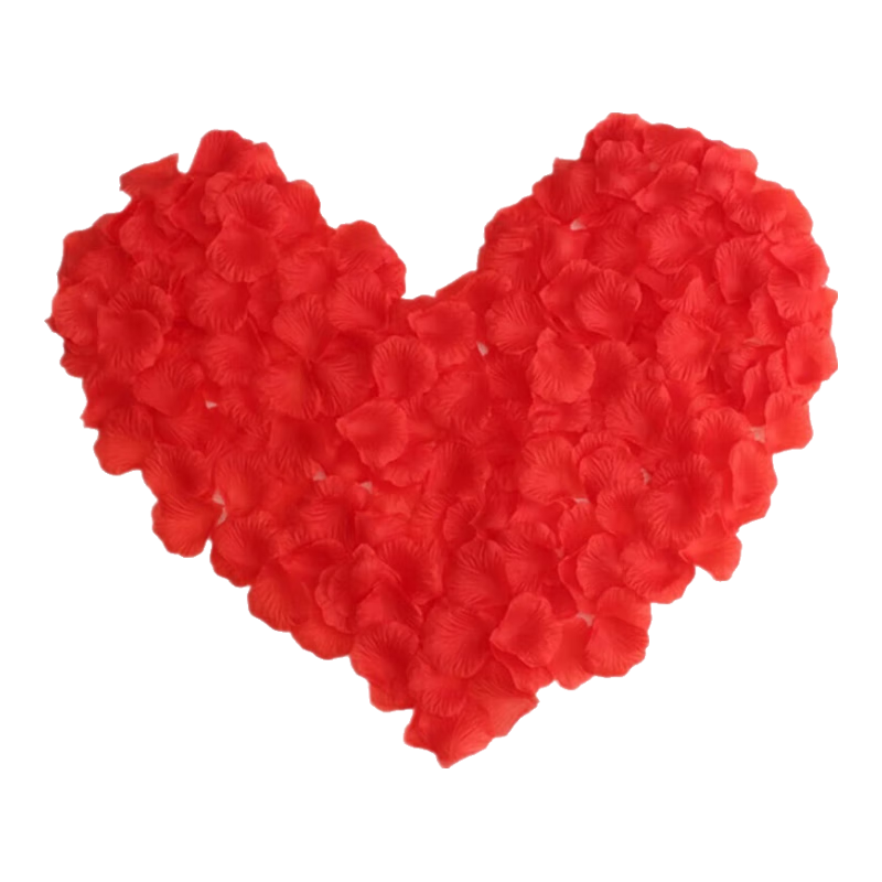 ���� �����滨��1000Ƭ���鷿���û������õ�廨��װ�����˽�