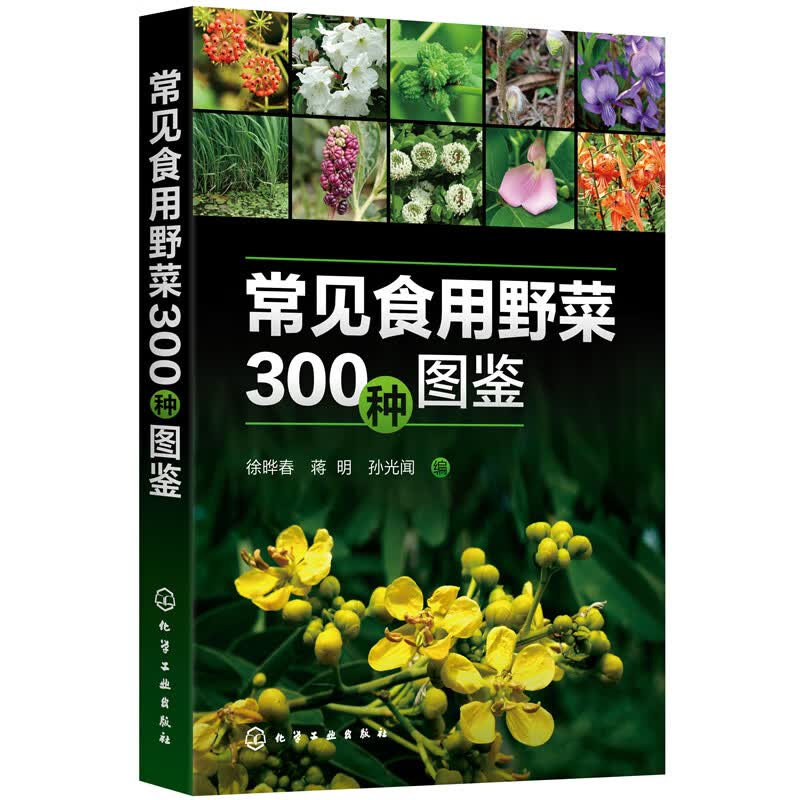 常见食用野菜300种图鉴
