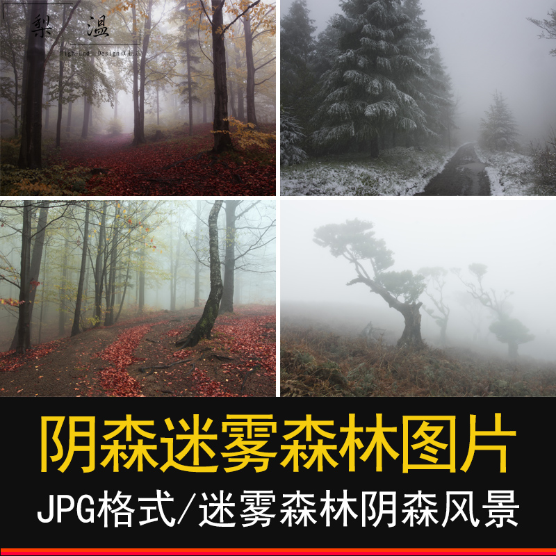 神秘云雾迷雾森林高清jpg图片树林阴森恐怖风景ps后期素材 迷雾森林