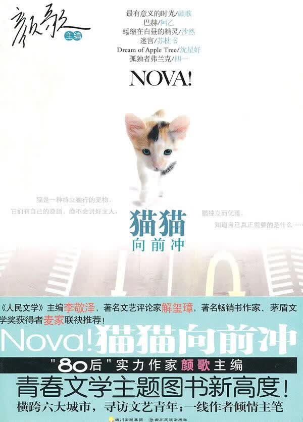T颜歌小说--猫猫向前冲【正版图书】