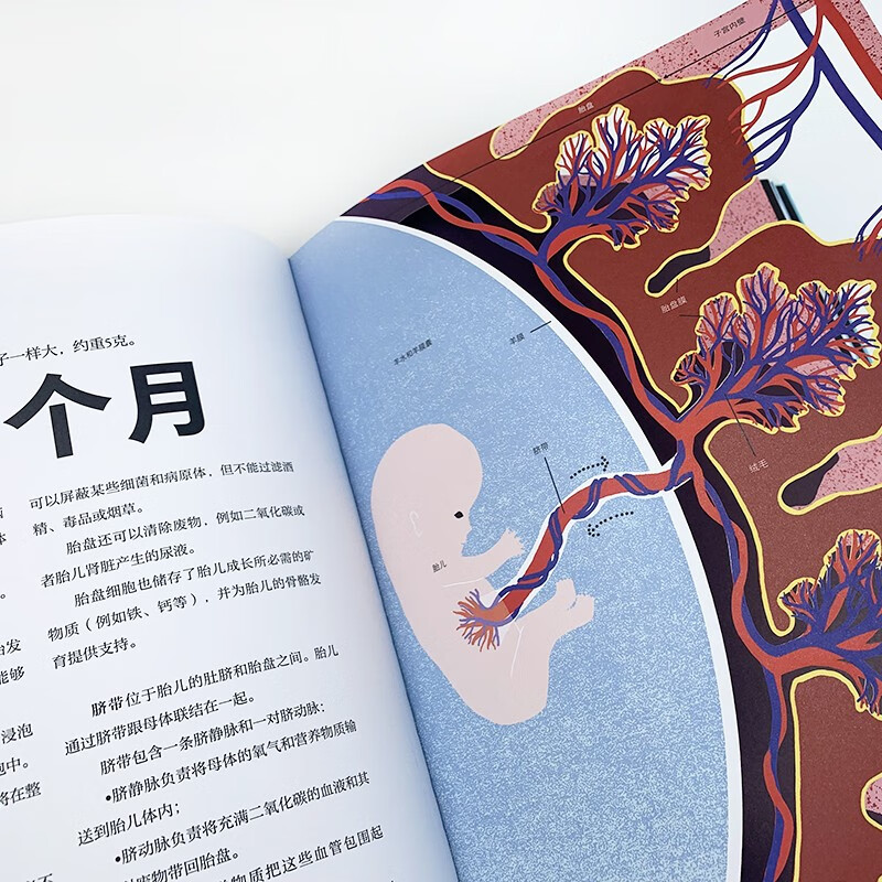 出生：在我们来到这世界之前详情图