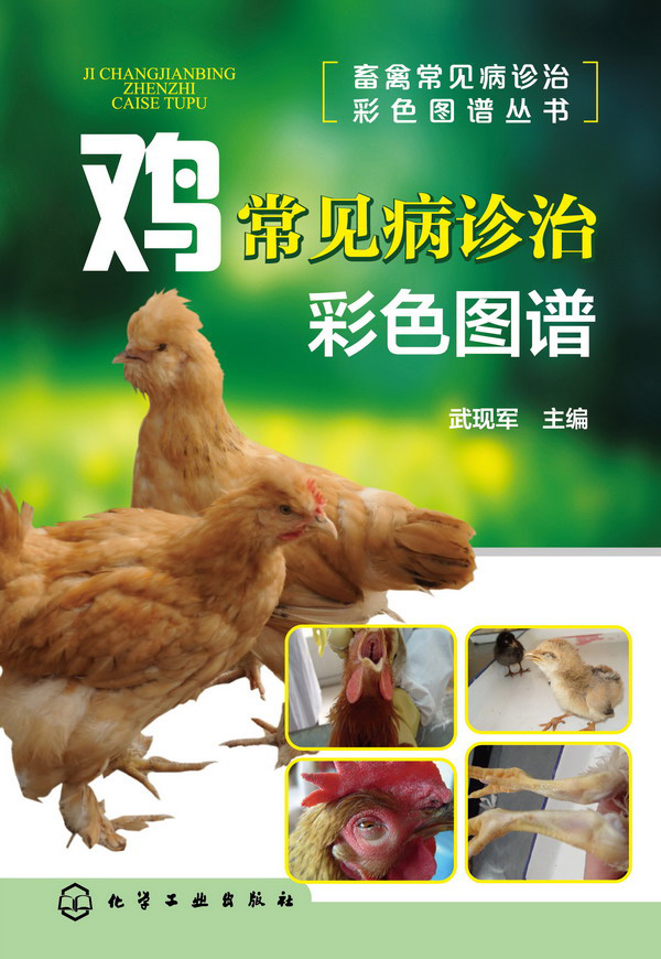 鸡常见病诊治彩色图谱 武现军 书店 动物医学（兽医学）书籍
