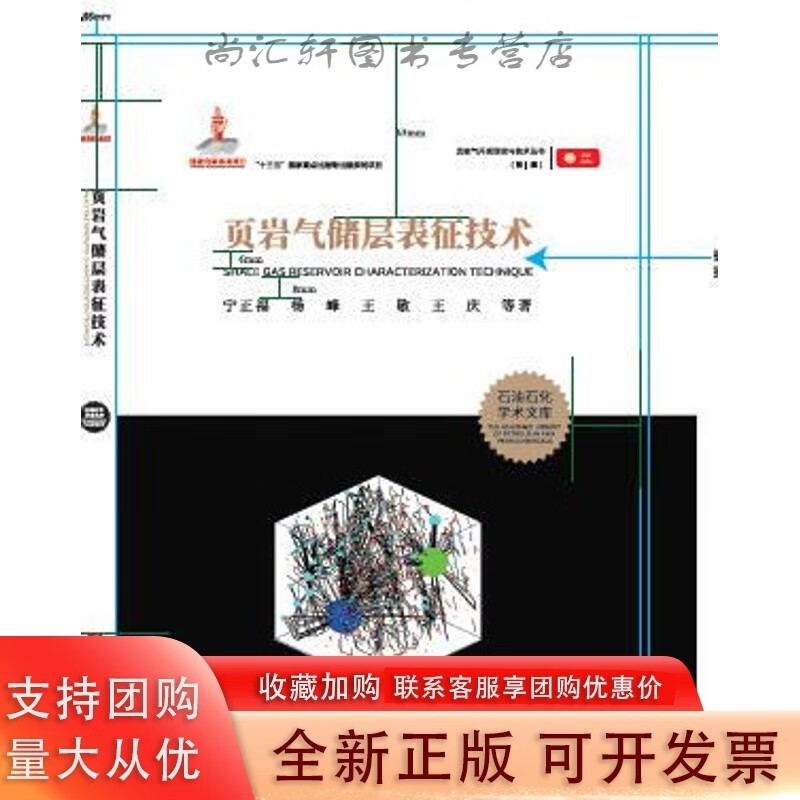 页岩气储层表征技术