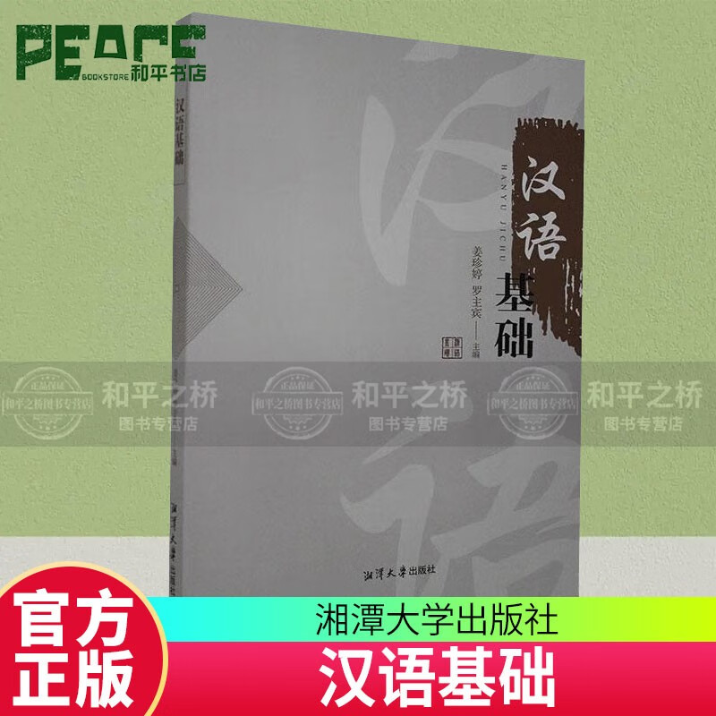汉语基础 姜珍婷 外语学习 书籍 湘潭大