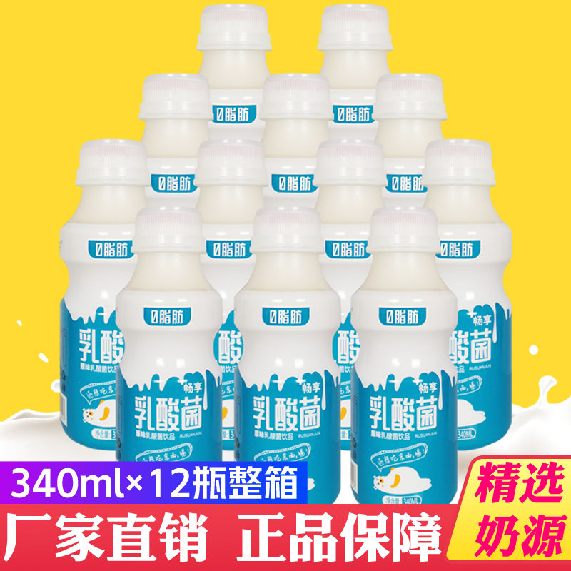 乳酸菌风味饮品340ml*12瓶整箱儿童成人早餐奶酸奶牛奶饮料 原味12瓶整箱