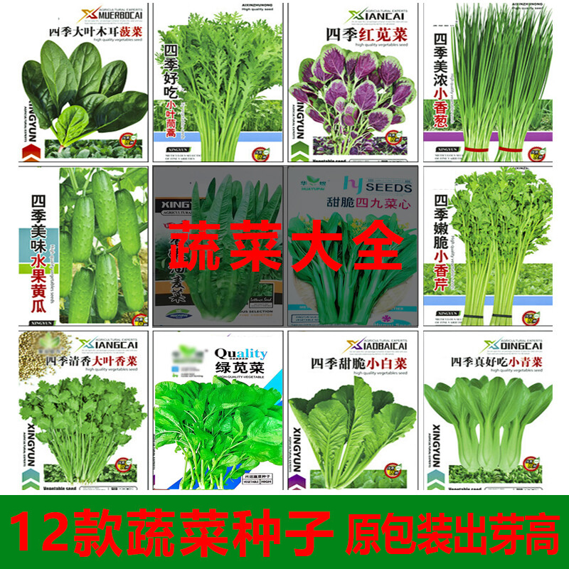 季之古 蔬菜种子12款四季阳台菜种籽香菜青菜茼蒿香芹苋菜小葱