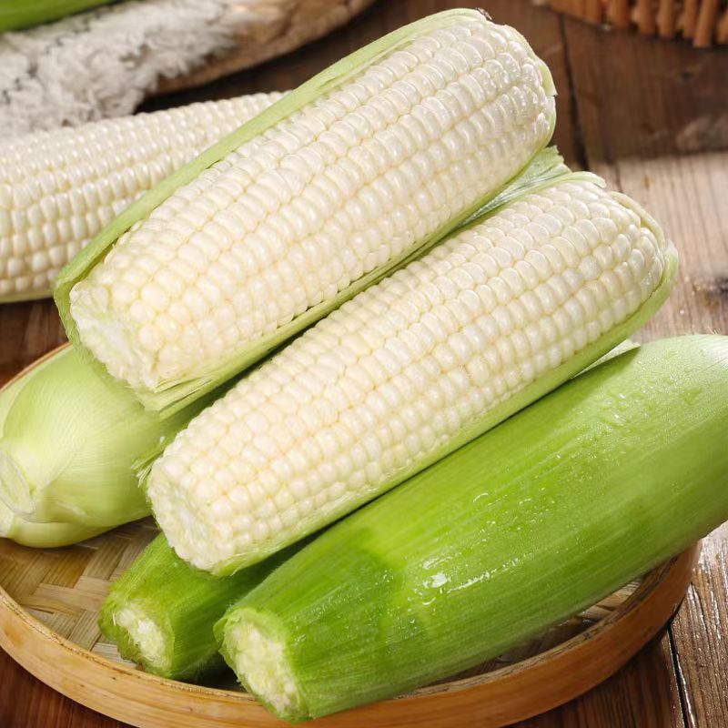 玉米新鲜甜玉米棒子4斤水果生吃爆浆玉米白玉米 水果牛奶玉米4斤装