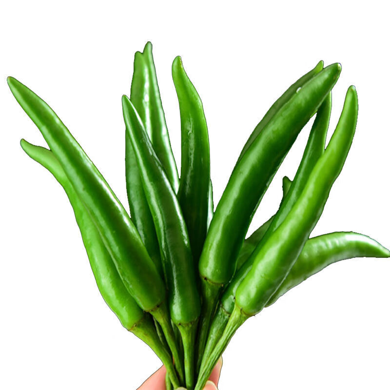 广西新鲜青朝天椒青小米辣椒特辣 新鲜青米椒 1斤 装