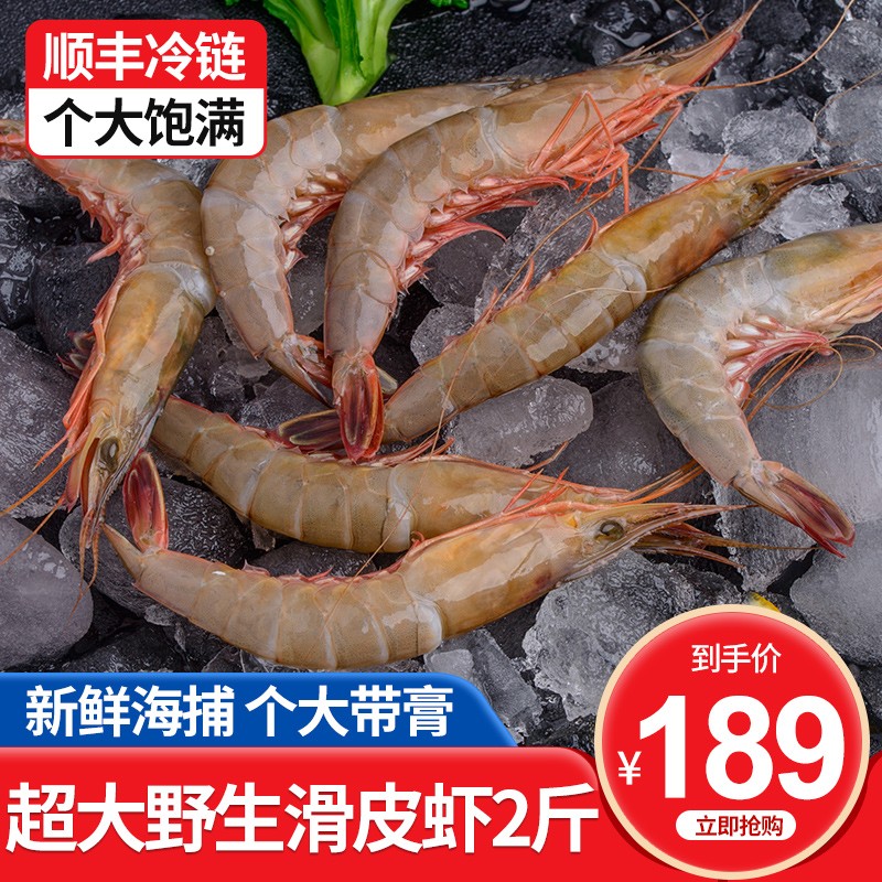 九号港 东海新鲜海捕滑皮虾 新鲜海鲜水产剑虾呛虾条虾 生鲜虾类 2斤（30-40只/斤）