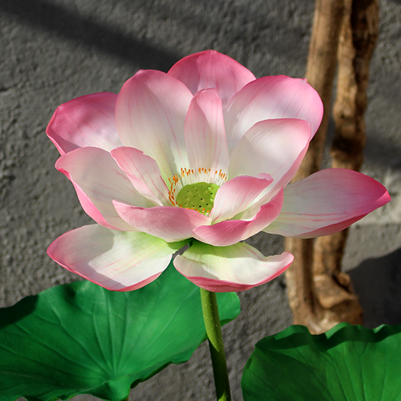 荷花仿真花荷叶pu手感花家居装饰假花摆件鱼池 浅粉色 单支pu大荷花