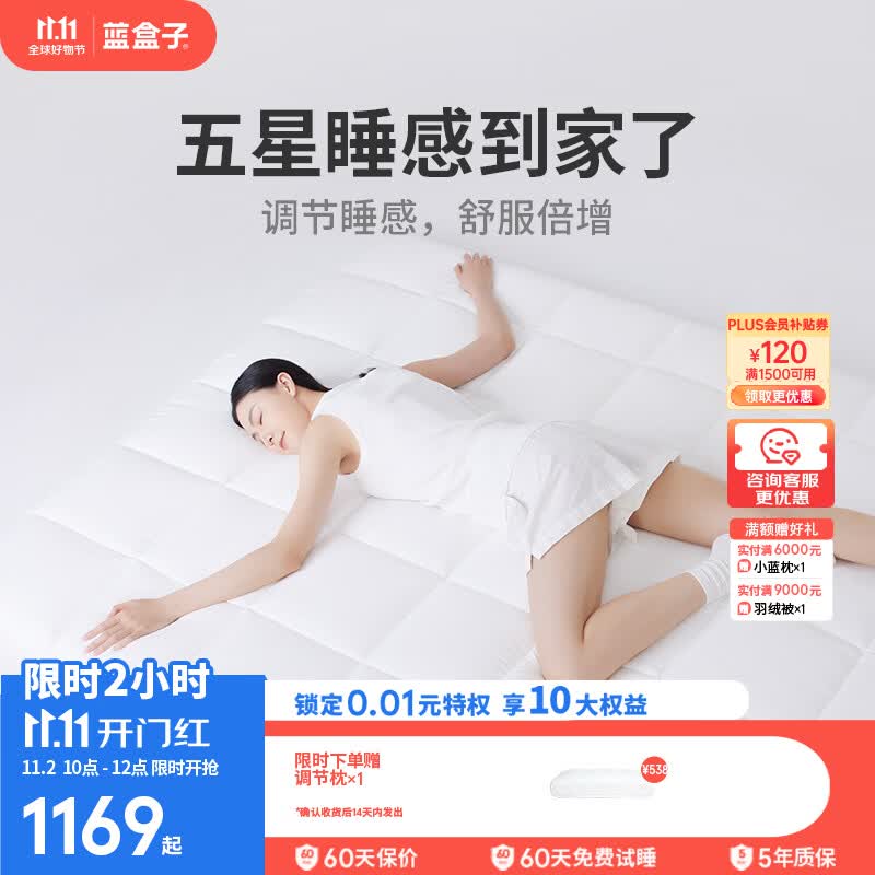 蓝盒子小蓝垫T1 Pro记忆棉床垫租房学生宿舍薄垫家用软垫榻榻米可定制 小蓝垫T1 Pro【现货 7天内发出】 1500mm*2000mm怎么看?