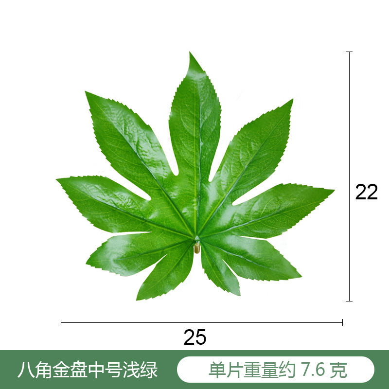 单片绿叶水果店生鲜果蔬垫子篮子装饰 中号25*21cm 八角叶浅绿10片
