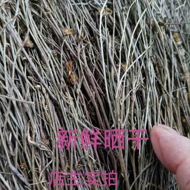 北京同仁堂原料潮汕青草药 金锁匙 500克中草药材金锁匙 金钥匙 潮汕