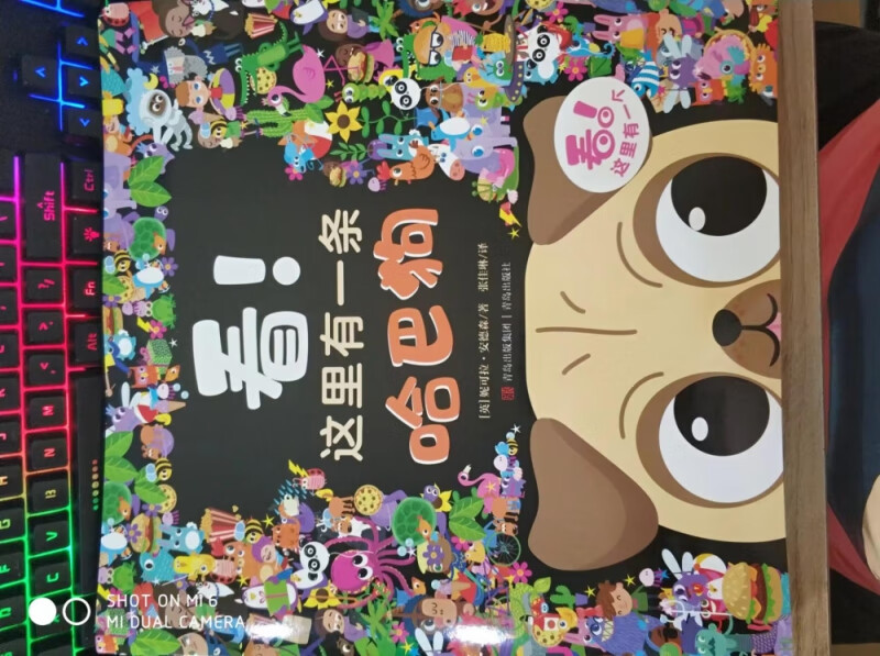 看！这里有一个