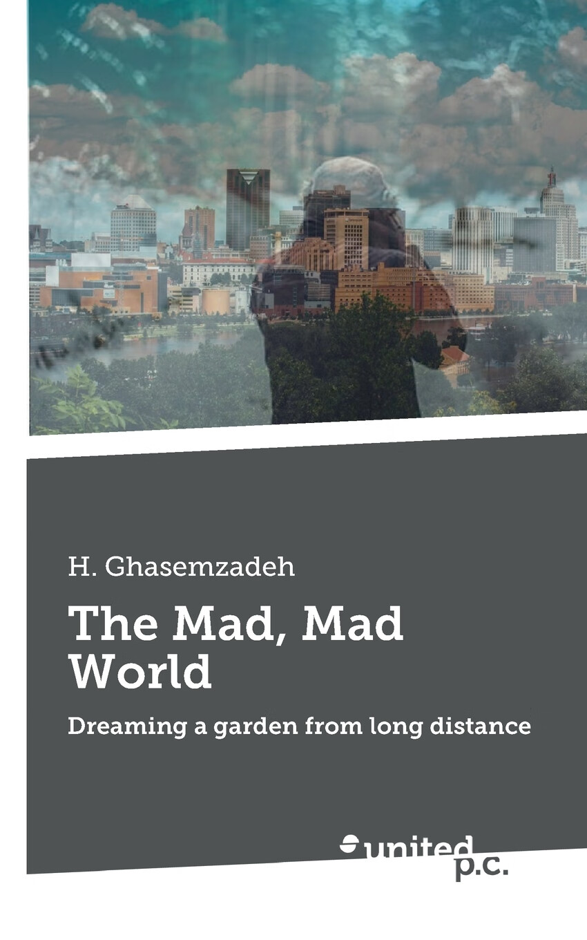 【预售 按需印刷】the mad, mad world