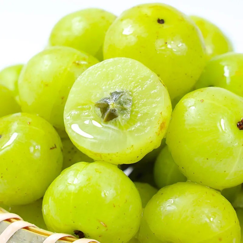 崩坎甜油甘果【现摘现发】油柑子油甘子时令新鲜水果 甜种余甘果牛