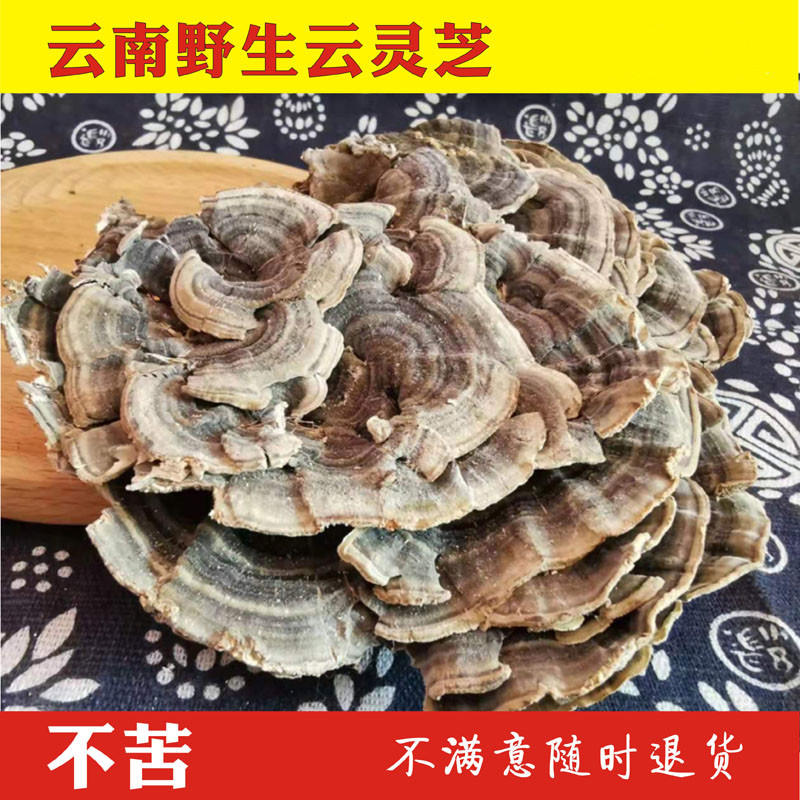 云灵芝 云南深山灵芝 整枝灵芝林芝青灵芝 500克