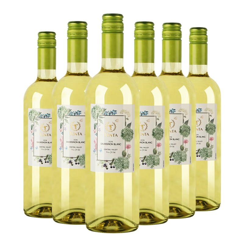 天帕（TENTA）智利中央山谷原装原瓶进口 天帕长相思干白葡萄酒13度750ml 6支整箱