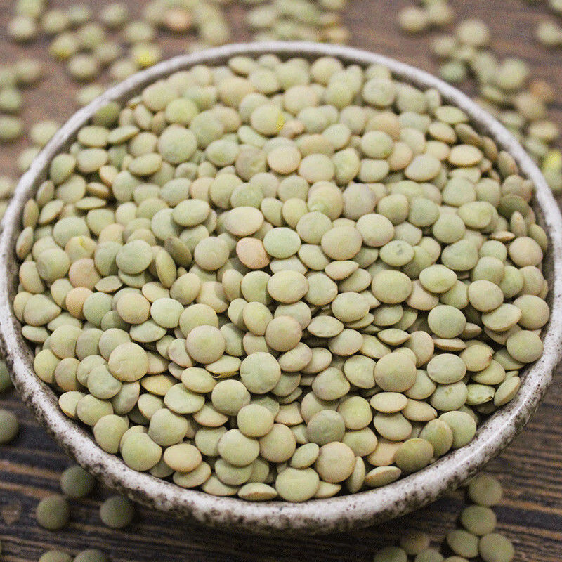 虎钢馋甘肃特产小扁豆斤农家山地冰豆兵豆绿扁豆五谷杂粮可发芽苗