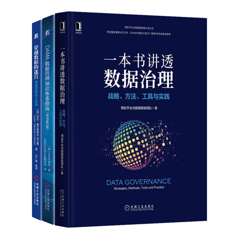 DAMA数据管理知识体系指南（原书第2版）+穿越数据的迷宫：数据管理执行指南+一本书讲透数据治理：战略、方法、工具与实践3本