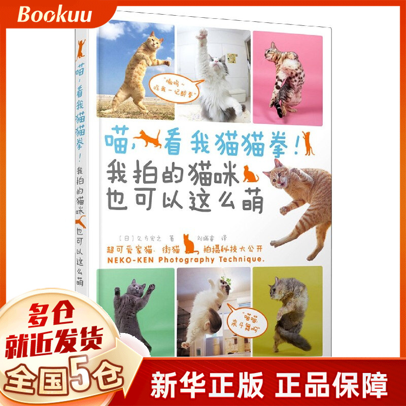 喵看我猫猫拳我拍的猫咪也可以这么萌