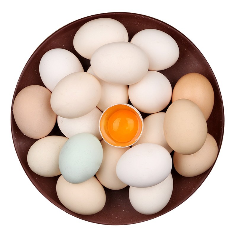 筱诺  农家散养土鸡蛋笨鸡蛋新鲜现捡 土鸡蛋50枚