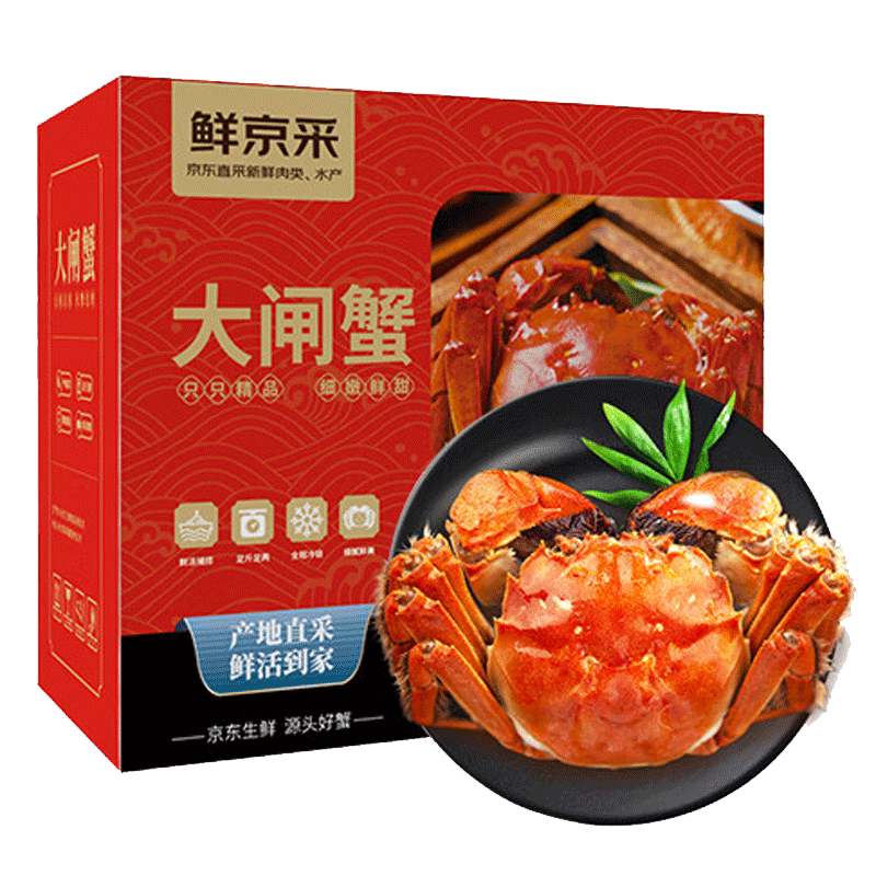 【活蟹】鲜京采鲜活大闸蟹 全母蟹2.5两 4对8只 去绳足重蟹类螃蟹河蟹生鲜礼盒