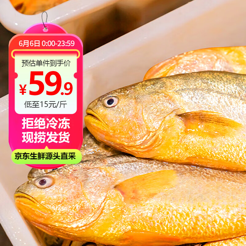 鸿顺【冰鲜】黄花鱼4条4斤 生鲜鱼类 宁德大黄鱼 源头直发