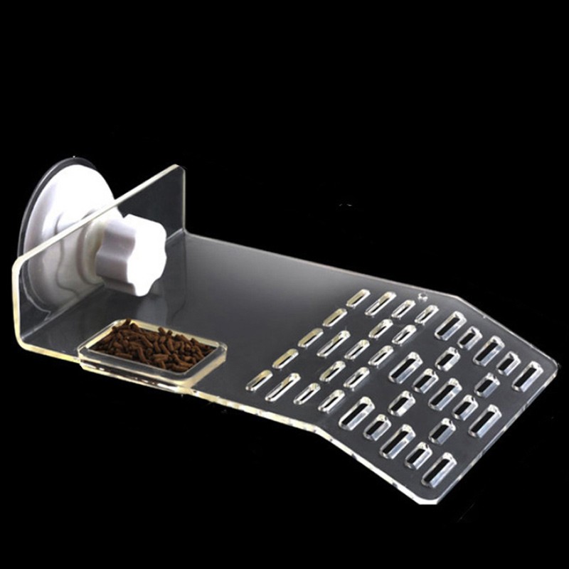 查询爬宠用品历史价格走势|爬宠用品价格走势图