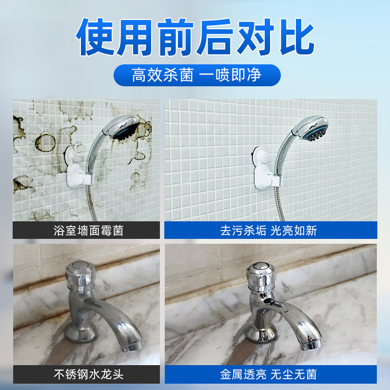 碧丝汀强力瓷砖清洁剂瓷砖除菌除垢 草酸配方去污垢杀菌 1瓶装+1泵头【贵在运费】 500ml