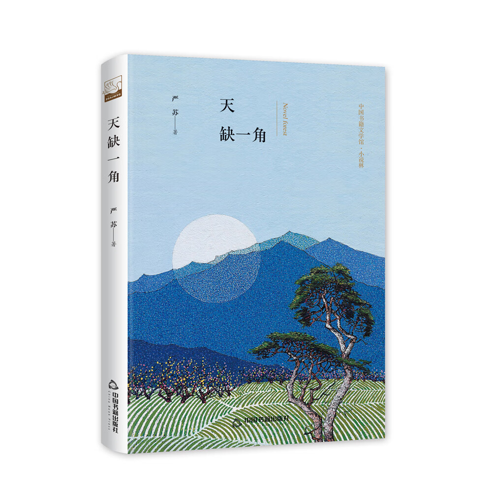 文学馆·小说林— 天缺一角（精装）