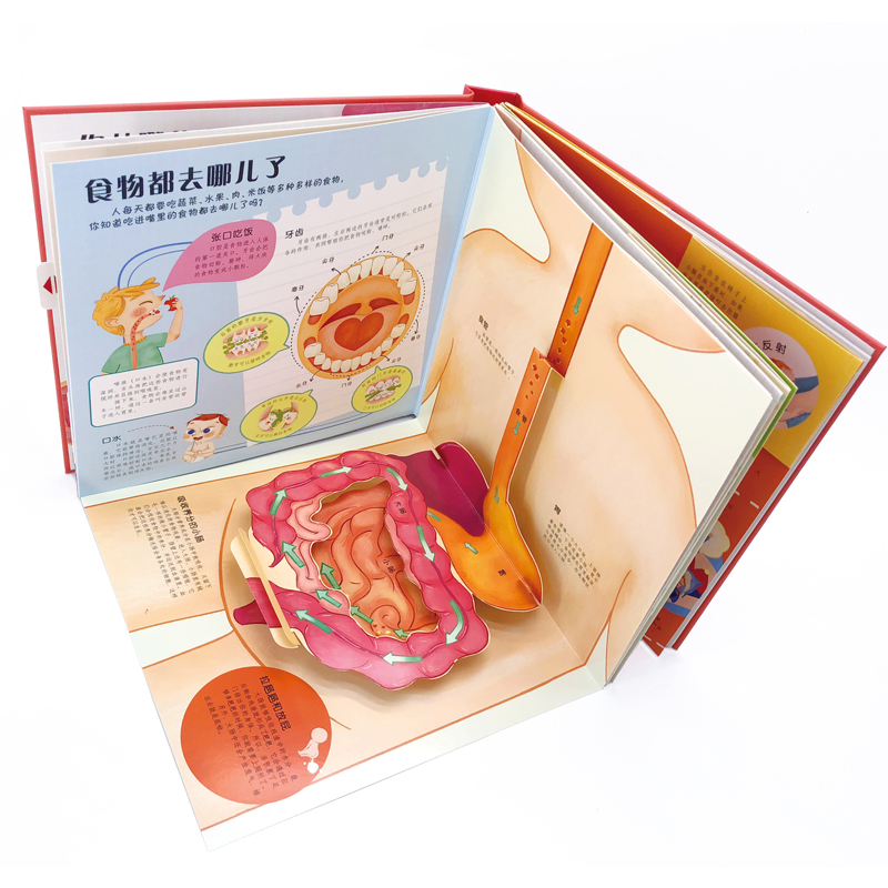 会动的科普立体翻翻书 可爱的身体 3-6-8岁幼儿科普百科读物 医学博士