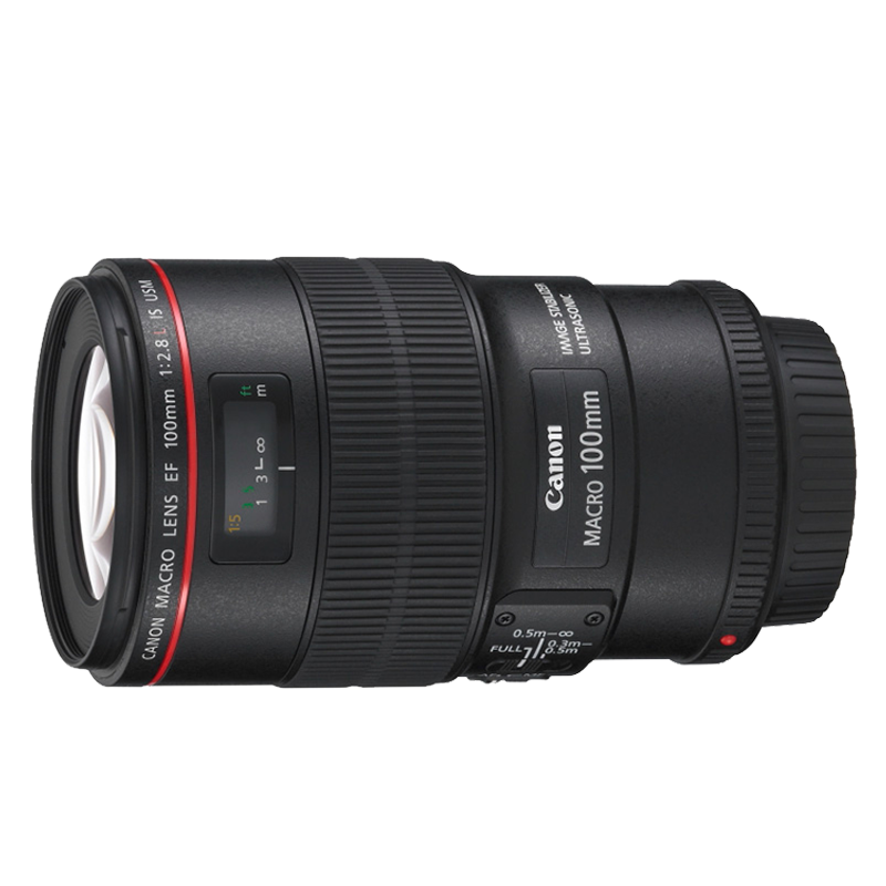 佳能（Canon） RF100微距f2.8L IS USM新百微定焦单反微单红圈微距镜头 RF 100mm f/2.8L IS USM