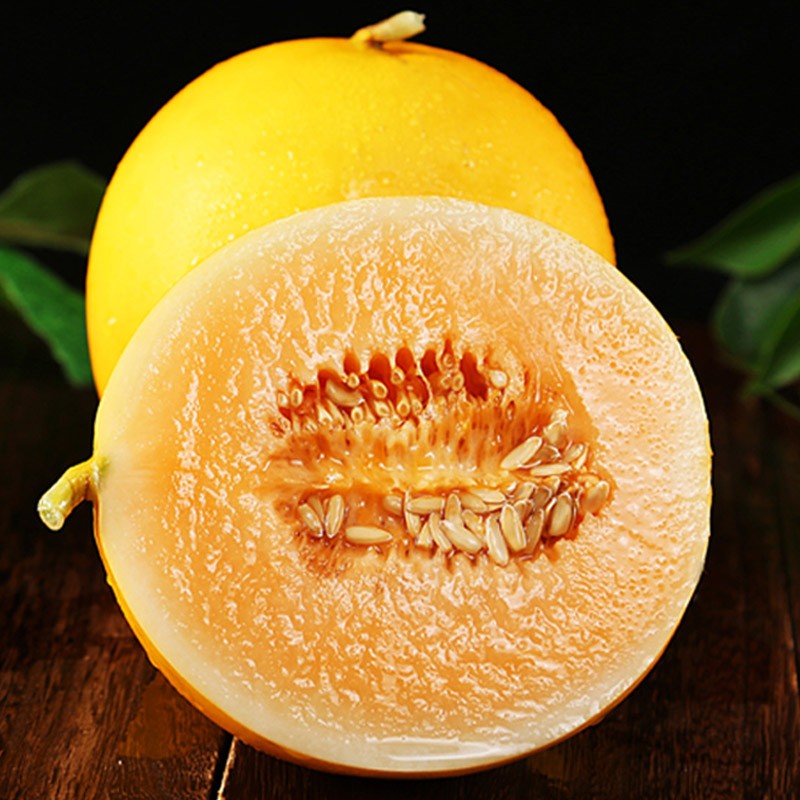 千园九味陕西头茬黄河蜜瓜生鲜当季黄皮蜜瓜新鲜哈密甜瓜水果整箱应季水果 黄金蜜瓜净重4.5斤【2-6枚】