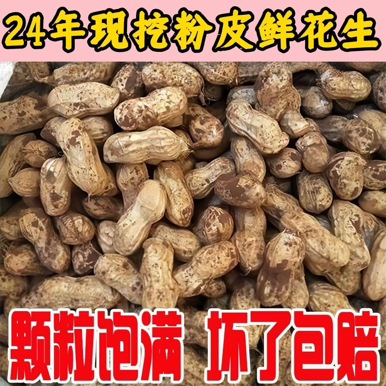 鲜花生24年现挖粉红皮花生湿壳脆嫩农家自种新鲜花生现发带壳带泥 1斤