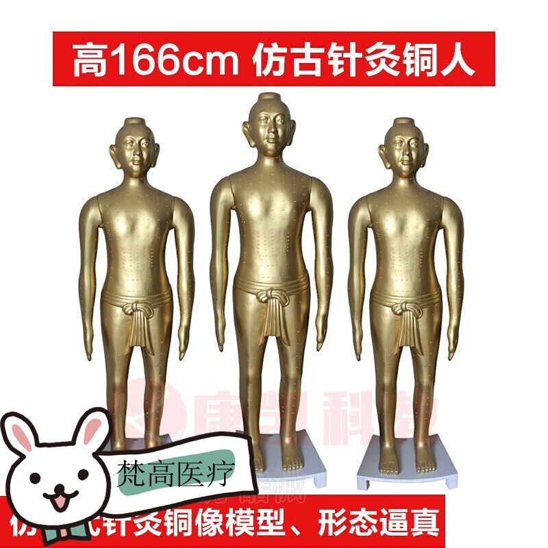 中医学用 全身展览针灸铜像人体模型 纯铜质感 仿古针灸铜人166cm