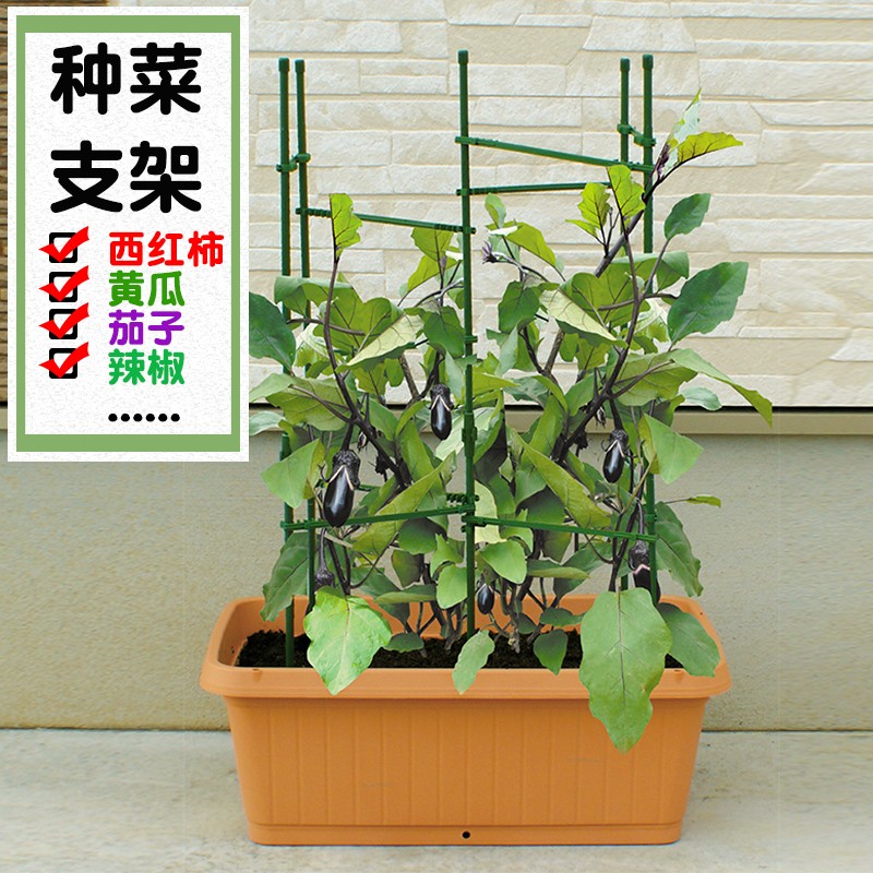 支架番茄支撑黄瓜室外固定阳台种植植物花盆架子 绿色管径8毫米x高1