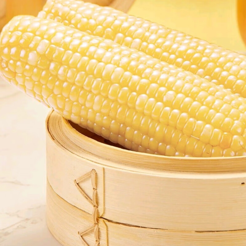 风水梁沙漠玉米内蒙古沙地甜糯真空或冷冻保鲜老店新玉米 10根真空