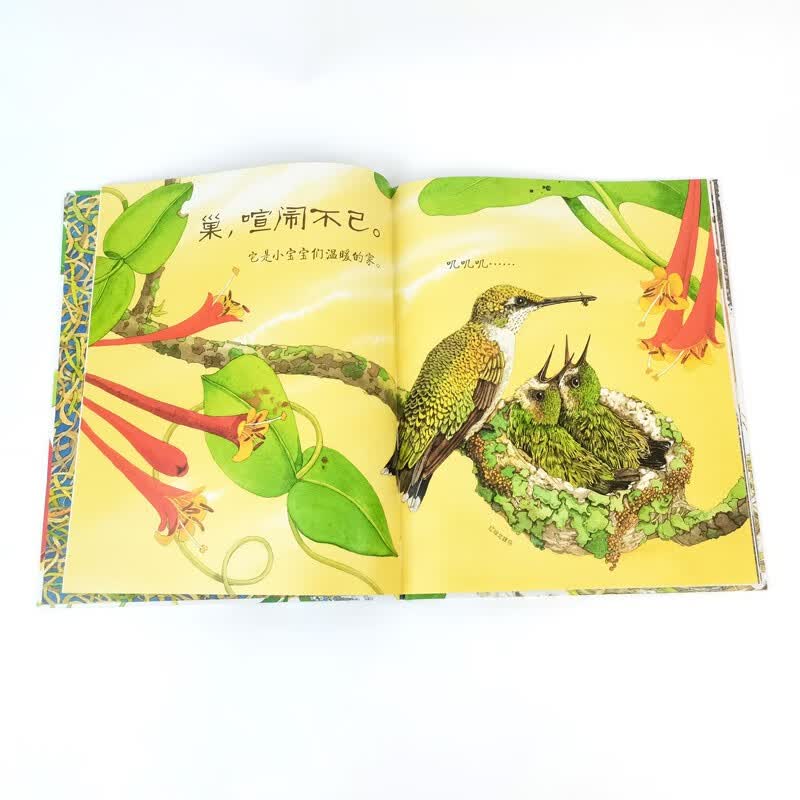 美丽成长科普绘本丛书（全5册）科技部全国优秀科普作品，给孩子的自然生态与生命教育绘本暑假阅读暑假课外书课外暑假自主阅读暑期假期读物详情图