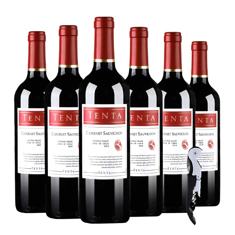 【天帕】2019年份智利原瓶进口天帕干红品种级葡萄酒赤霞珠送礼整箱六支装750ml*6瓶